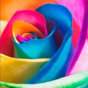 Meet your Posher, Melanie